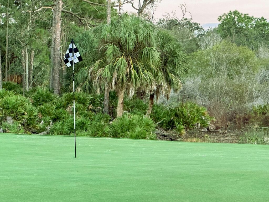 Green de un campo de golf rodeado de palmeras