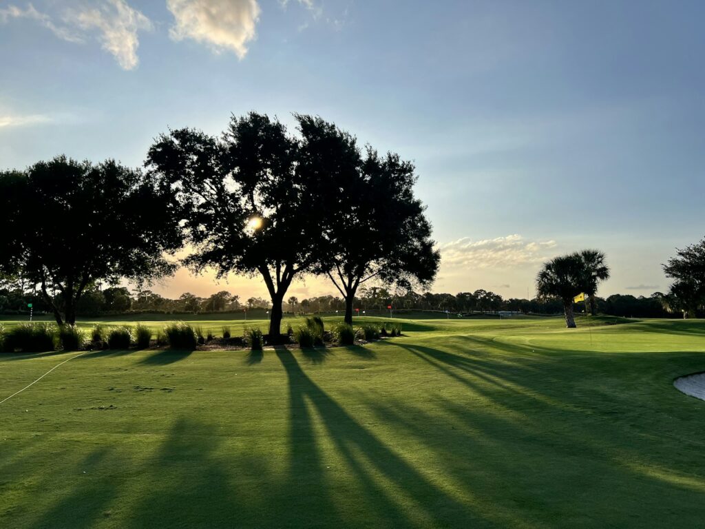Campo de golf con green y árboles